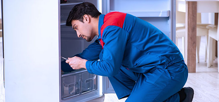 Freezer Repair Services in New Westminster